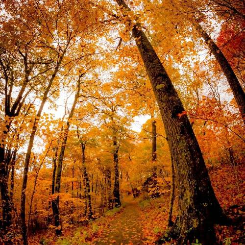  حالا بد یا خوب هرچی پیش اومد پیر میشیم بیخه ریشه هم